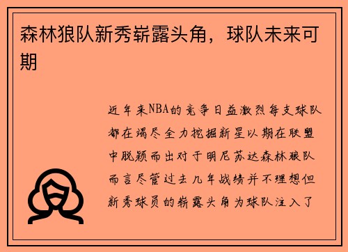 森林狼队新秀崭露头角，球队未来可期
